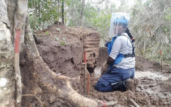 A woman working for the organisation The Halo Trust searches for mines in a forest with a mine detector.