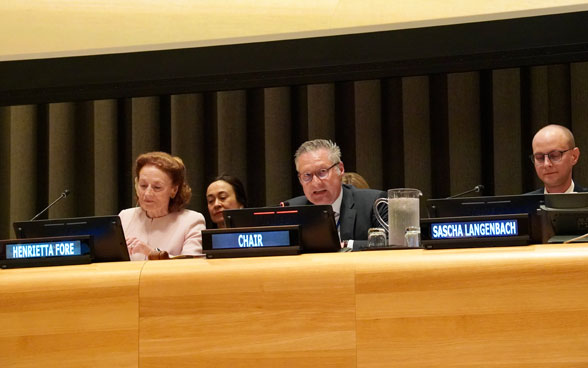 Thomas Gürber, stellvertretender EDA-Staatssekretär, bei seiner Rede am Arria-Treffen des UNO-Sicherheitsrats.