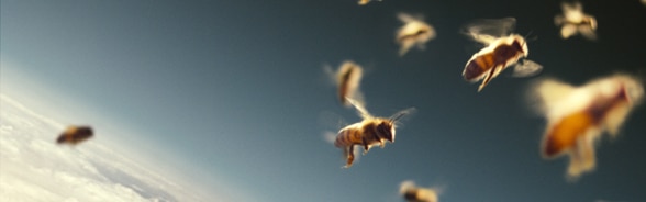 Des abeilles volent dans le ciel