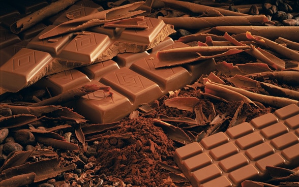 Chocolat suisse - Chocosuisse
