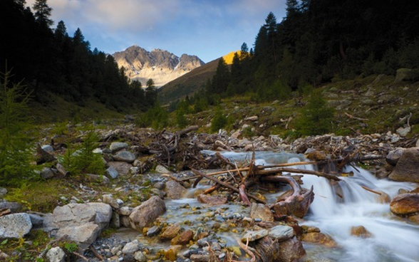 Un parc national au cœur des montagnes suisses. Son objectif : préserver la nature. 