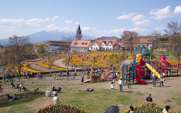 日本山梨县的海蒂村。大花园里有盛开的鲜花和儿童游戏场地。