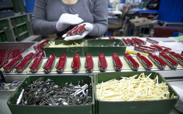 A row of Swiss army knives laid out on a workbench.