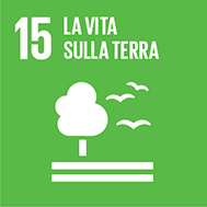 Obiettivo 15: Proteggere, ripristinare e promuovere l'uso sostenibile degli  ecosistemi terrestri, gestire in modo sostenibile le foreste, contrastare  la desertificazione, arrestare e invertire il degrado dei suoli e fermare  la perdita di
