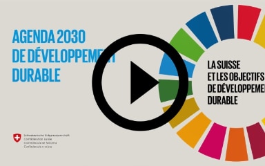 Image Symbolique Agenda 2030 Video 