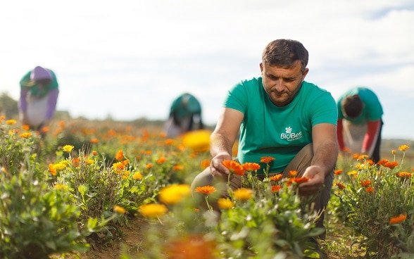 Cover photo of the Swiss Cooperation Programme in Albania 2022-2025