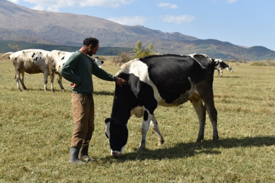 An Armenian farmer from Syunik region