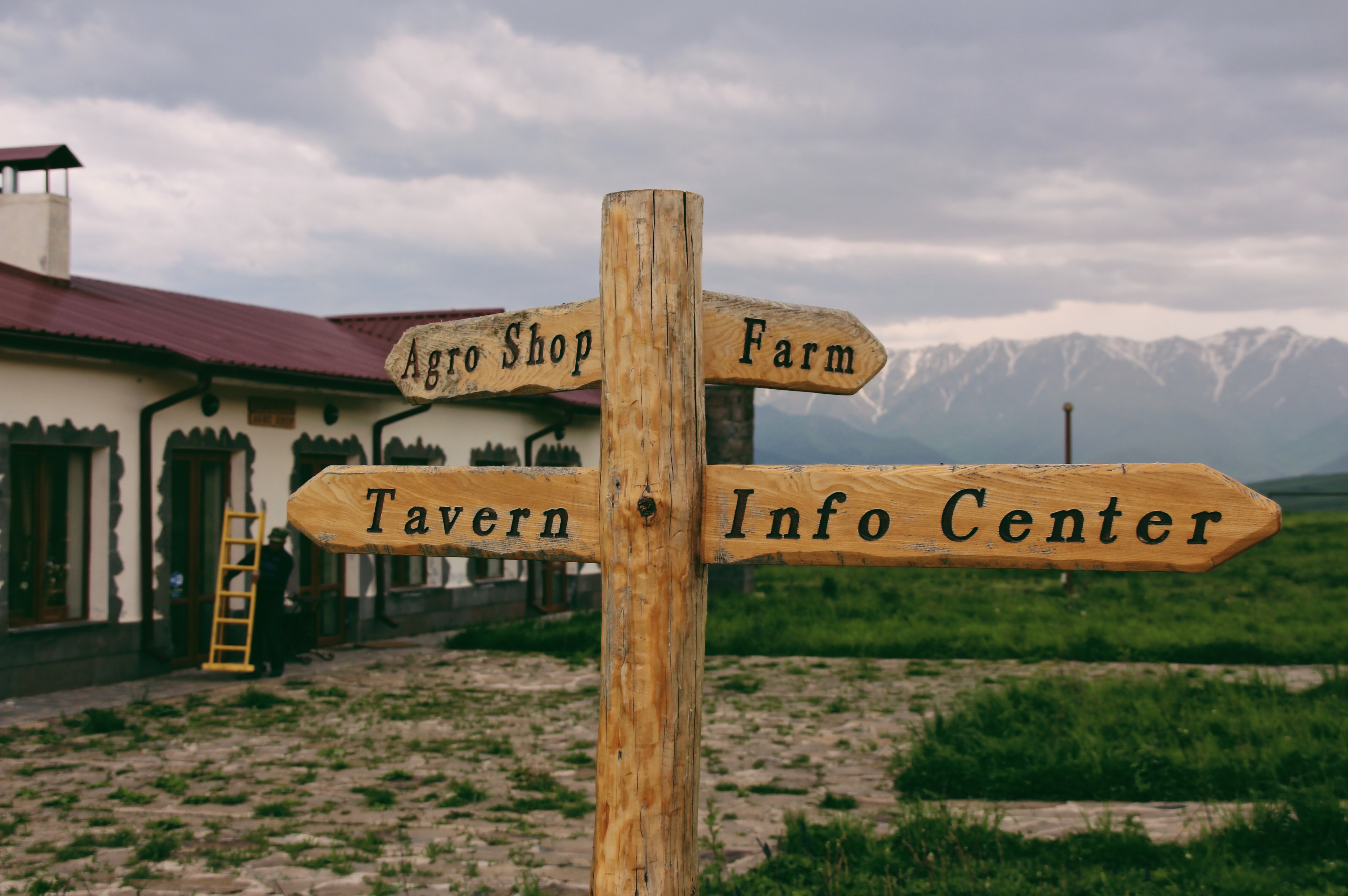 Animal Market in Syunik region 