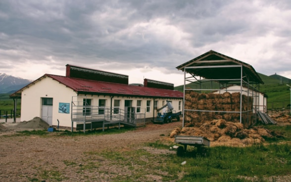 Animal Market in Syunik region 