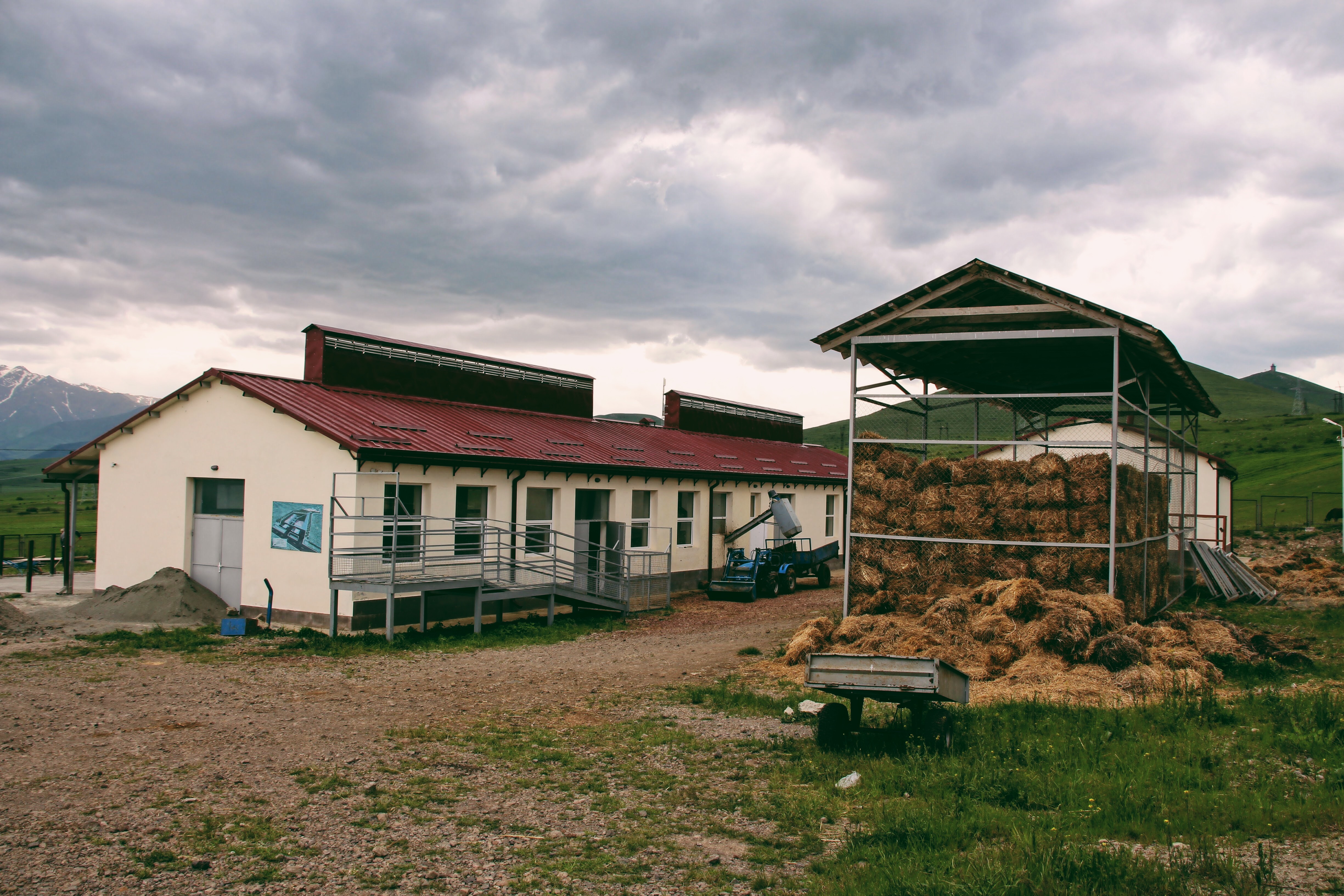 Animal Market in Syunik region 