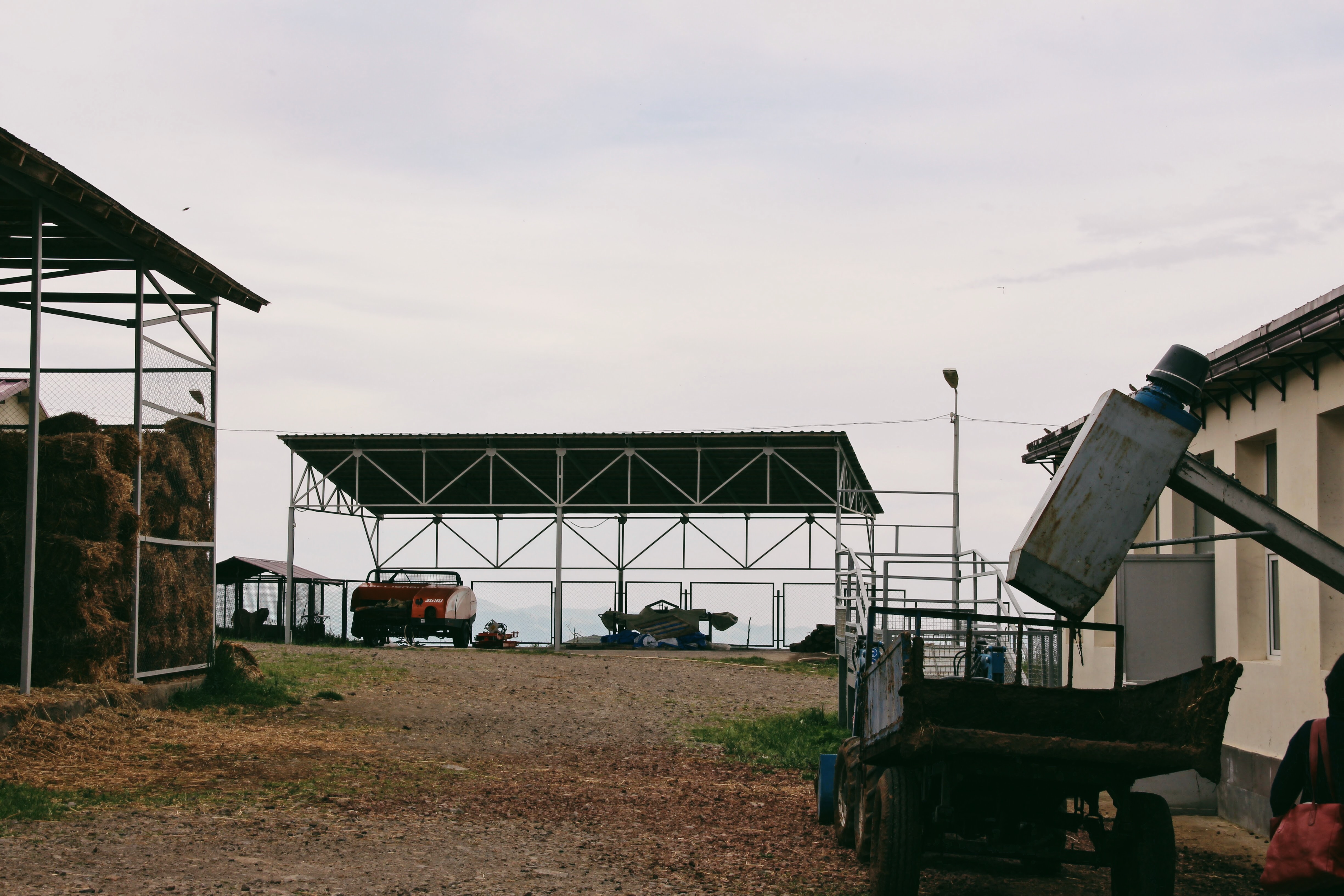 Animal Market in Syunik region 