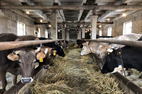 Barn built by the young farmer Hayk Avanesyan