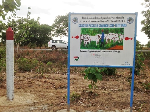 Couloir de passage pour les animaux réalisés avec le soutien de la Coopération suisse au Bénin pour réduire les conflicts agriculteurs et éleveurs