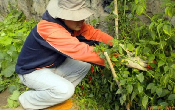 Estudiante de agropecuaria realizando sus prácticas