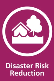 Disaster Ris Reduction DRR