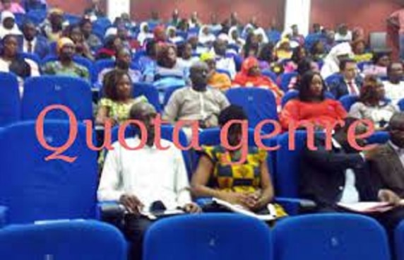 Des participants à une session à l'Assemblée nationale du Burkina Faso