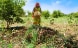 A woman harvests onions in the Baibor valley