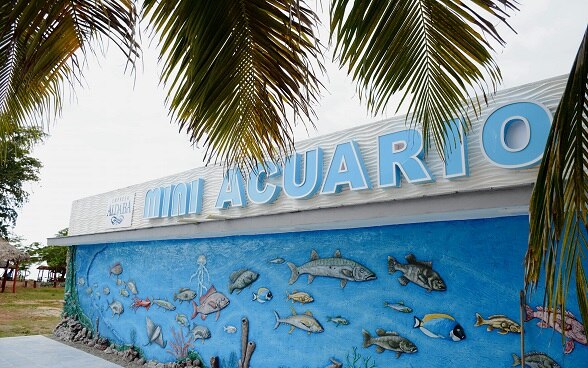 Miniacuario en Trinidad