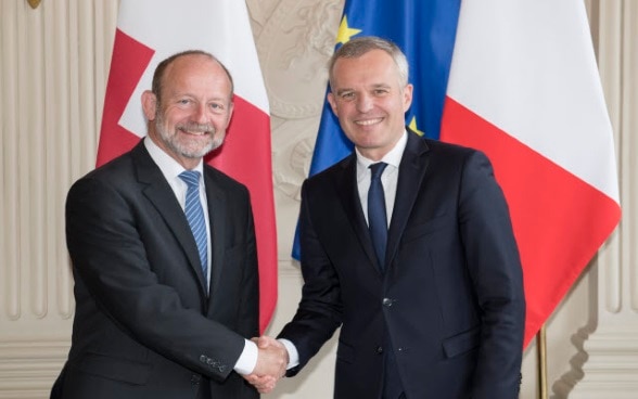 Dominique de Buman, Président du Conseil national suisse, et François de Rugy, Président de l’Assemblée nationale française