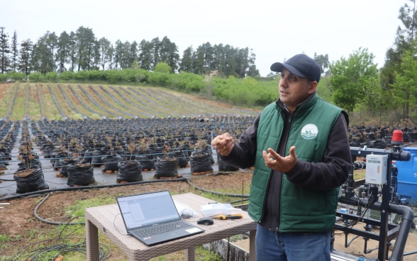 a local specialist explaining how it works