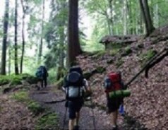 Gemeinsame Wanderungen
