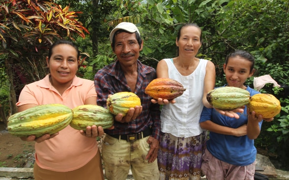 Familia de la Cadena de Cacao
