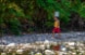 Ohne Wasser gibt es kein Leben