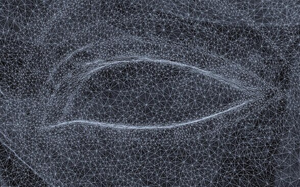 Disentangled, 2017 (Detail)