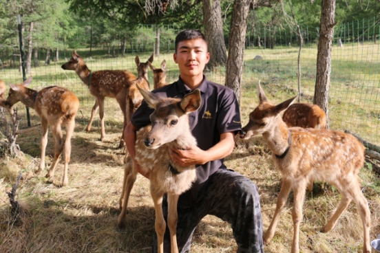 The Red Deers project in Govi-Altai province