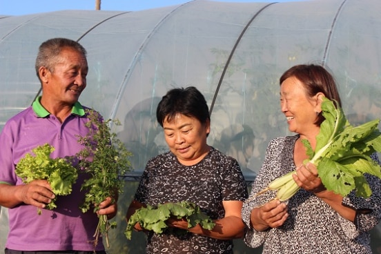 Vegetable cooperatives in Mongolia