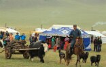Mongolian Yak Festival