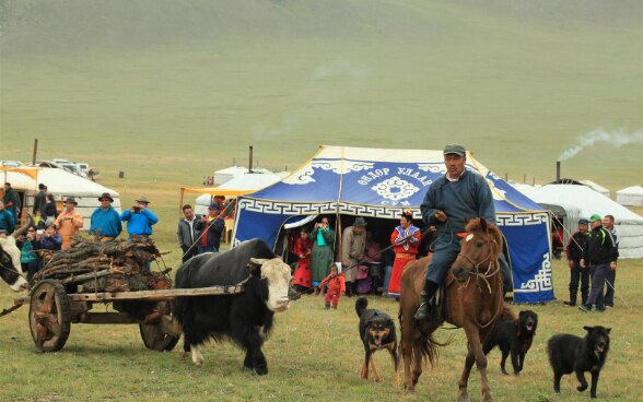 Mongolian Yak Festival