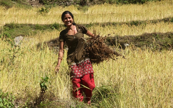 A female of Okhaldhunga district with her harvest.