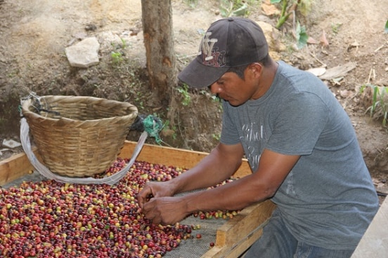 Programa cuenca Dipilto