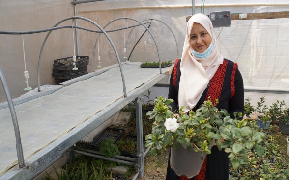 Promuovere l'innovazione per creare posti di lavoro: Asmaa Mustafa di Nablus ha aumentato la produttività del suo vivaio introducendo un sistema di riscaldamento a energia solare con il supporto tecnico di un progetto DSC/Oxfam per giovani imprenditori
