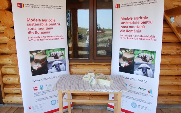 Cheese products from sheepfold Năruja, Vrancea - Romania 