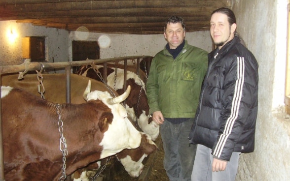 Stefan Tomic (on the right) in the barn of farmer Miodrag Petkovic