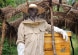 Beekeeping training in Mvomero District, Morogoro Region.