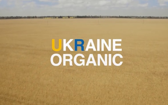 Launching the first official promo-video “Organic in Ukraine”