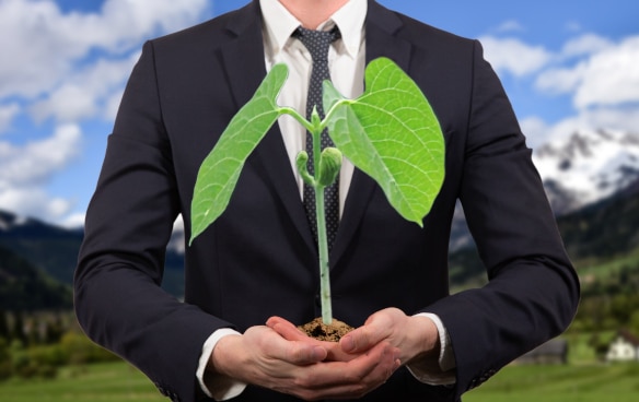 A person in a business suit holding a green plant in his or her hands