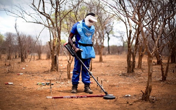 Clearing landmines from a crucial African wildlife corridor