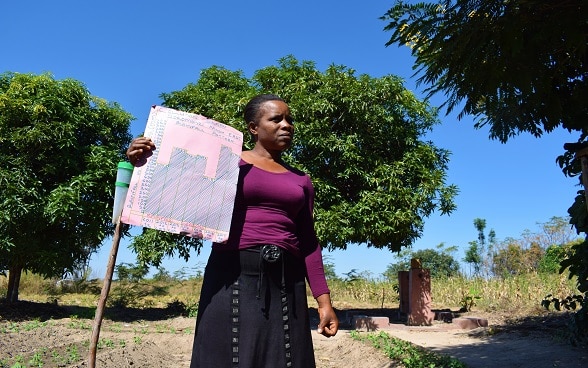 As Zimbabwe’s climate changes, small-scale farmers are increasingly looking to innovative ways of dealing with agricultural challenges. And in some instances, the techniques they adopt are helping to combat climate change, too.