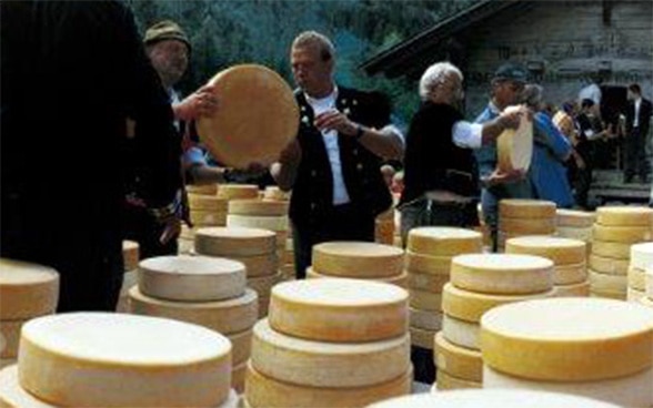 Partage du fromage lors de la fête traditionnelle du "Käseteilet" au Justistal 