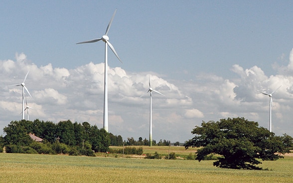 Windmühlen auf einem Feld in Lettland. 