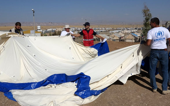 un membre du Corps suisse d’aide humanitaire en train de monter une tente, en compagnie du personnel humanitaire local.  