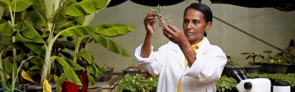 Segenet Kelemu in un laboratorio