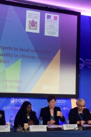 Le partecipanti al panel durante l'evento collaterale dedicato all'uguaglianza tra donne e uomini alla Conferenza sul clima di Parigi 2015.