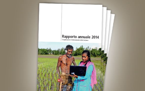 Rapporto annuale 2014 DSC / SECO - Cooperatione nationale della Svizzera