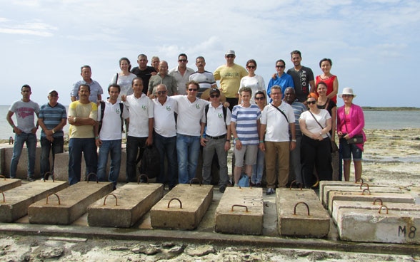 Karen Scrivener zusammen mit Forschungspartnern aus Kuba und Zementherstellern aus Lateinamerika vor Zementblöcken an einem Strand in Kuba. 