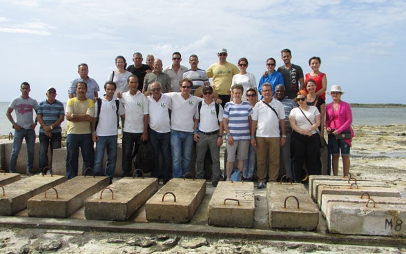 Karen Scrivener posa junto con los investigadores asociados y varios productores de cemento de América Latina ante unos bloques de cemento en la costa de Cuba. 